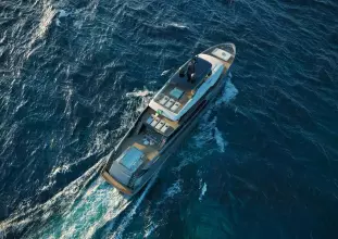 Thumbnail von Ocean King Doge 400 OCEAN KING DOGE 400