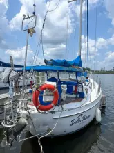 Thumbnail von Tayana 42 Cutter DELLA THERESE