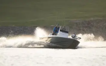 Thumbnail von Skeeter SX 221