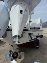 Thumbnail von Blackfin 252 CC