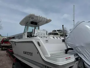 Thumbnail von Blackfin 252 CC