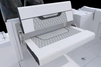 Thumbnail von Blackfin 252 CC