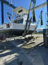 Thumbnail von Egg Harbor Golden Egg Convertible Bad to the Bone
