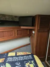 Thumbnail von Egg Harbor Golden Egg Convertible Bad to the Bone