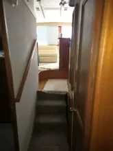 Thumbnail von Egg Harbor Golden Egg Convertible Bad to the Bone