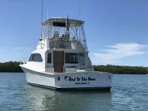 Thumbnail von Egg Harbor Golden Egg Convertible Bad to the Bone