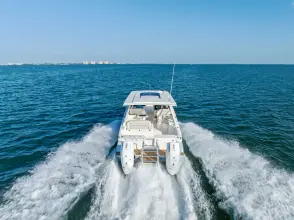 Thumbnail von World Cat 400 DC