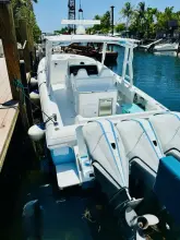 Thumbnail von Intrepid 377 WA