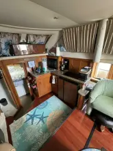 Thumbnail von Carver 41 Cockpit Motor Yacht New Beginnings