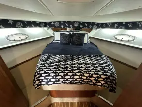 Thumbnail von Tiara Yachts 3800 Open Island Girl