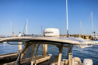 Thumbnail von Grady White 2023-31 SHOOTER