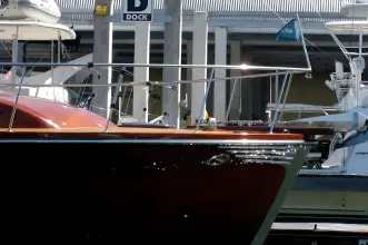 Thumbnail von Hugh Saint 65 2009