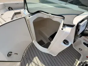 Thumbnail von Sea Ray SDX 250 Surf