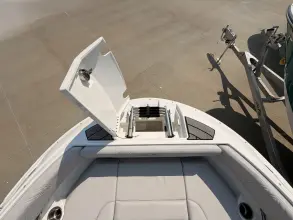 Thumbnail von Sea Ray SDX 250 Surf