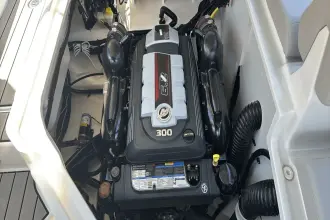 Thumbnail von Sea Ray SDX 250 Surf