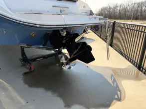 Thumbnail von Sea Ray SDX 250 Surf