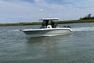 Thumbnail von Boston Whaler 250 Outrage