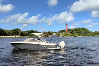 Scout 240 Dorado