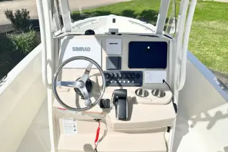 Thumbnail von Boston Whaler 220 Dauntless