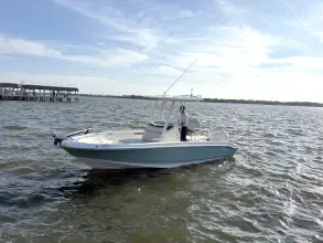 Thumbnail von Boston Whaler 220 Dauntless