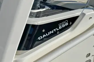 Thumbnail von Boston Whaler 220 Dauntless