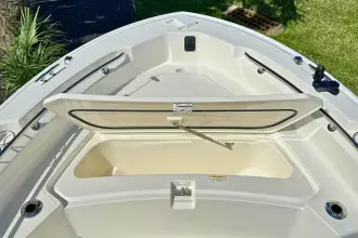 Thumbnail von Boston Whaler 220 Dauntless