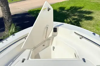 Thumbnail von Boston Whaler 220 Dauntless