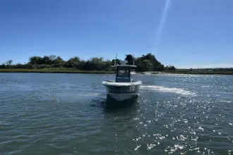 Thumbnail von Boston Whaler 280 Outrage