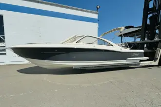 Scout 240 Dorado