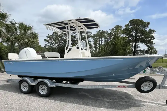Boston Whaler 190 Montauk