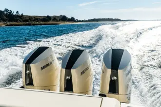 Thumbnail von Scout 377 LXF