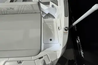 Thumbnail von Sea Ray SDX 250 Surf