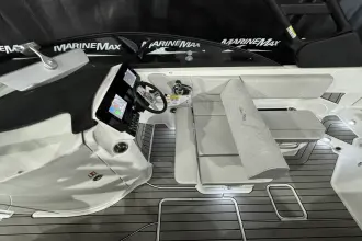 Thumbnail von Sea Ray SDX 250 Surf