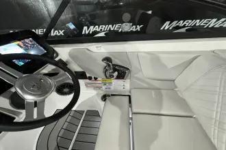 Thumbnail von Sea Ray SDX 250 Surf