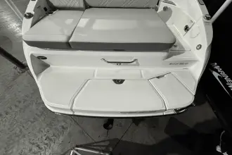 Thumbnail von Sea Ray SDX 250 Surf