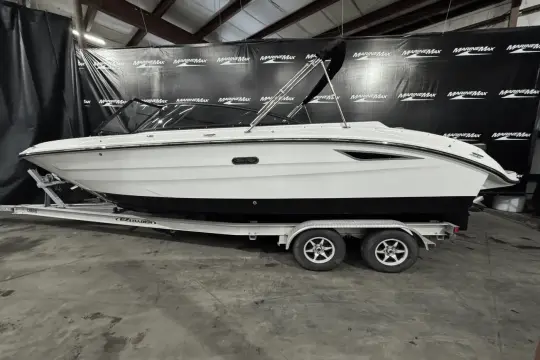 Sea Ray SDX 250
