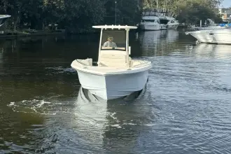 Thumbnail von Scout 240 XSF