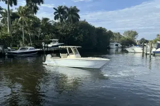 Thumbnail von Scout 240 XSF