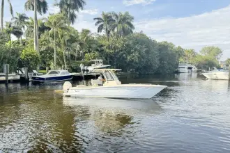 Thumbnail von Scout 240 XSF