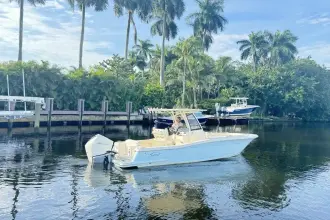 Thumbnail von Scout 240 XSF