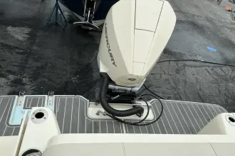 Thumbnail von Scout 240 XSF