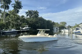 Thumbnail von Scout 240 XSF