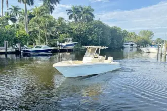 Thumbnail von Scout 240 XSF