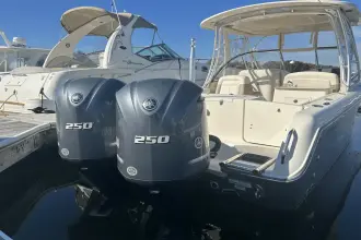 Thumbnail von Grady White Freedom 285