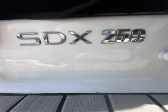 Thumbnail von Sea Ray SDX 250