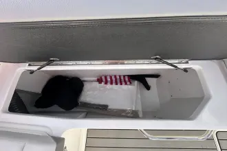 Thumbnail von Sea Ray SDX 250