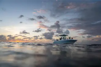Thumbnail von Boston Whaler 280 Dauntless