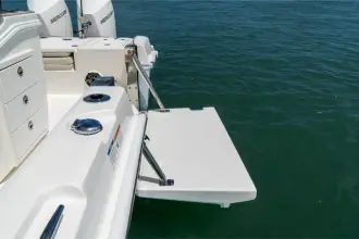 Thumbnail von Boston Whaler 280 Dauntless