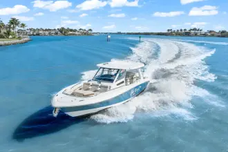 Thumbnail von Boston Whaler 350 Realm