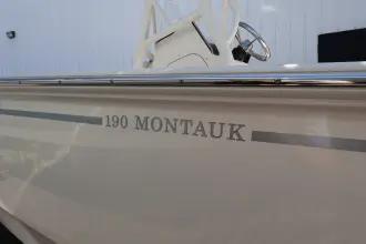Thumbnail von Boston Whaler 190 Montauk